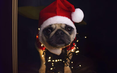 Bah humbug: The Christmas tax dilemma